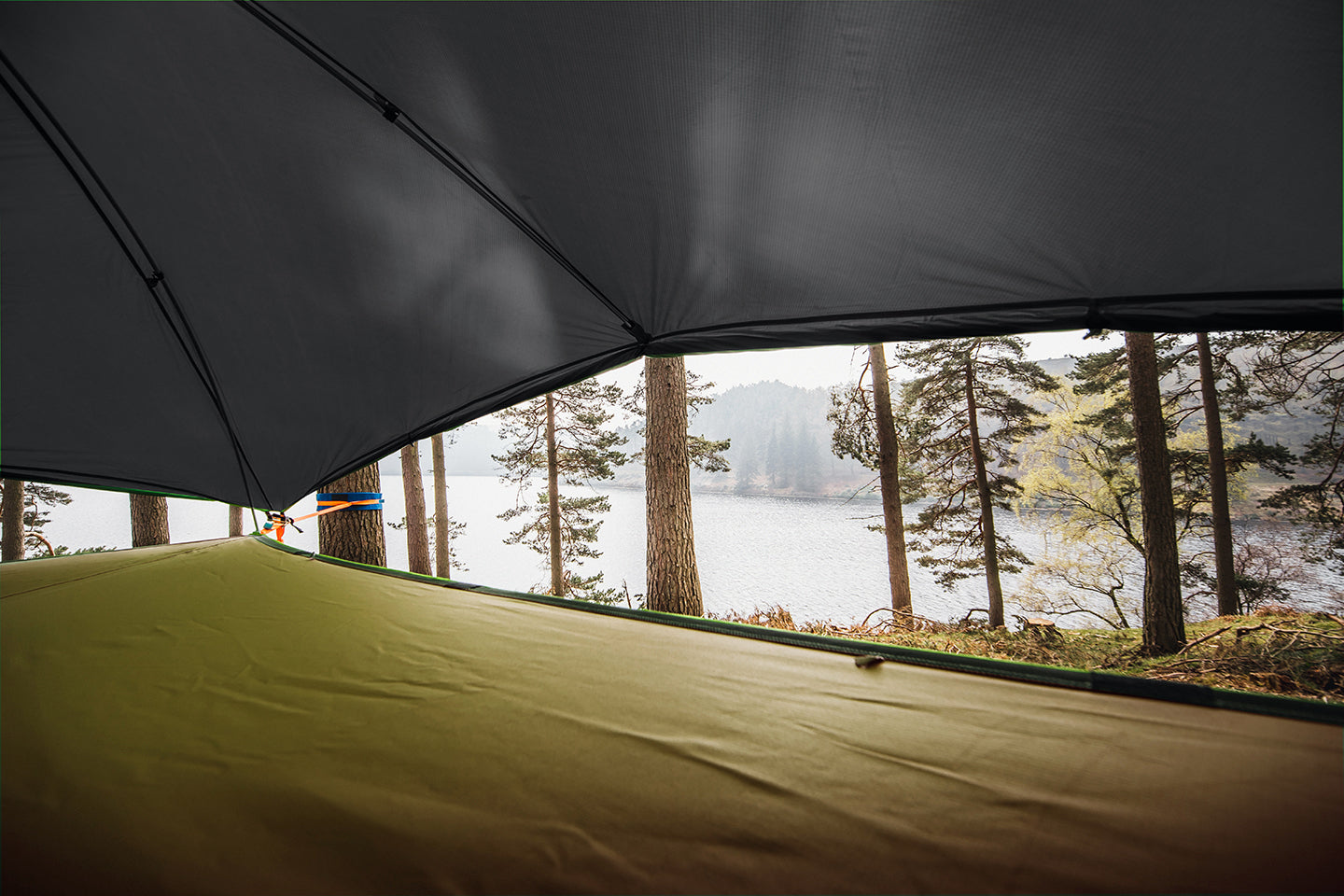 view from inside safari vista tree tent (4360040022089)