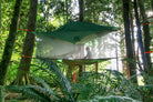Stingray Classic Camping Stack (3.0) (4481327530057)