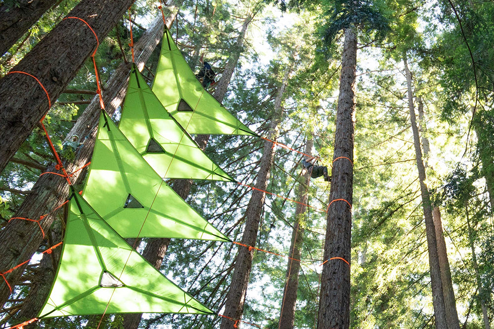 Trillium Giant 3-Person Camping Hammock (3.0)
